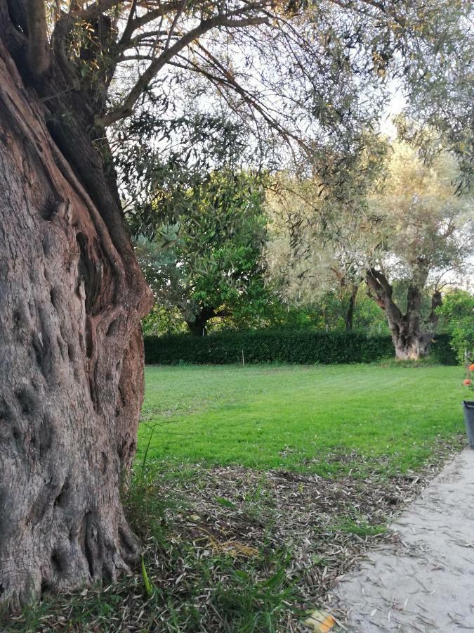 La Casa Di Caterina Pensionat Lefkáda Eksteriør billede