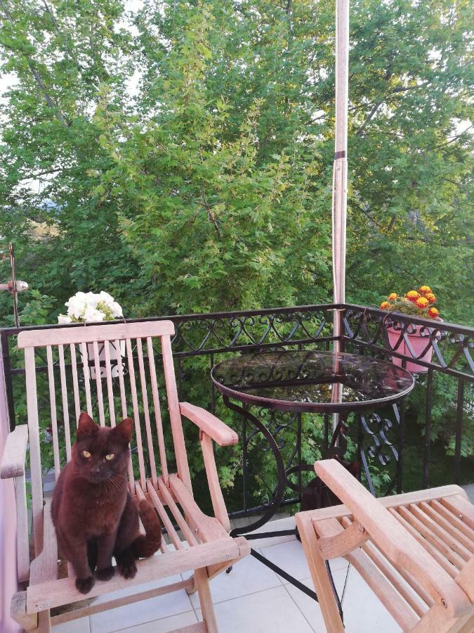 La Casa Di Caterina Pensionat Lefkáda Eksteriør billede